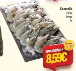 Belita Camarão 30/40 Conge promoção