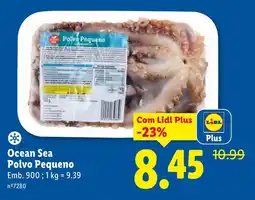 Lidl Ocean Sea Polvo Pequeno promoção