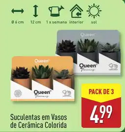 ALDI Suculentas em Vasos de Cerâmica Colorida promoção