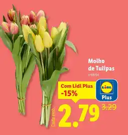 Lidl Molho de Tulipas promoção