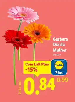 Lidl Gerbera Dia da Mulher promoção