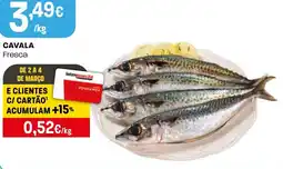 Intermarché Cavala fresca promoção