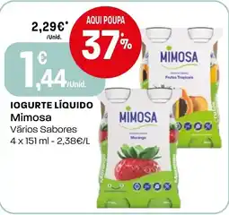 Intermarché Iogurte líquido mimosa promoção