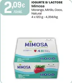 Intermarché Iogurte s/ lactose Mimosa promoção