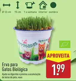 ALDI Erva para Gatos Biológica promoção