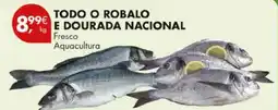 Pingo Doce Todo o robalo e dourada nacional promoção