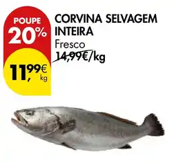 Pingo Doce Corvina selvagem inteira fresco promoção