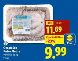 Lidl Ocean Sea Polvo Médio promoção