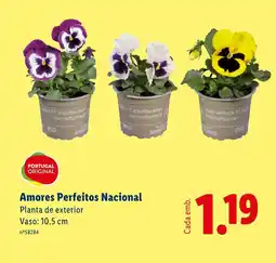Lidl Amores Perfeitos Nacional Planta de exterior Vaso: 10,5 cm promoção