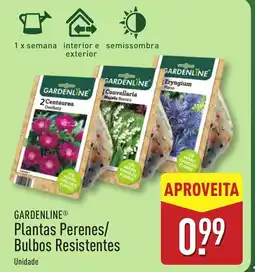 ALDI GARDENLINE Plantas Perenes/ Bulbos Resistentes promoção