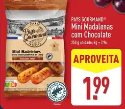 ALDI PAYS GOURMAND Mini Madalenas com Chocolate promoção