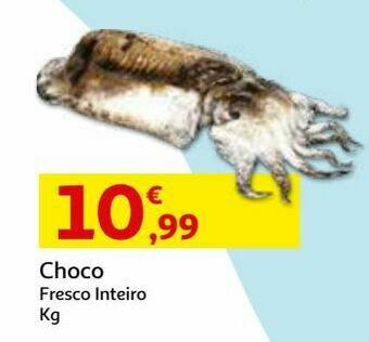 Choco fresco:inteiro kg