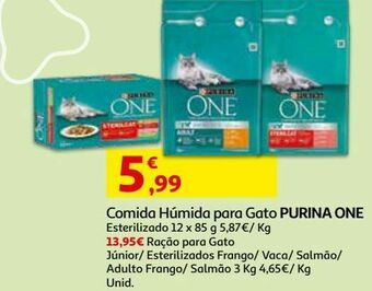 Comida húmida gato purina one