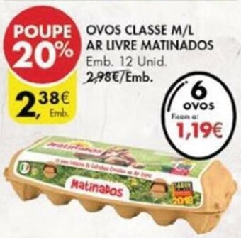 Ovos Classe M/L Ar Livre Matinados 12 unid