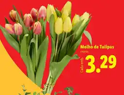 Lidl Molho de Tulipas promoção
