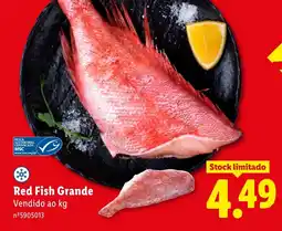 Lidl Red Fish Grande promoção
