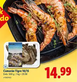 Lidl Camarão Tigre 10/15 promoção