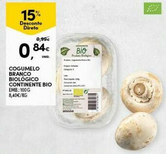 Cogumelos continente