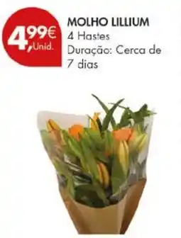 Pingo Doce Molho lillium promoção