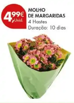 Pingo Doce Molho de margaridas promoção