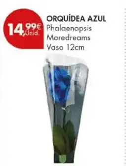 Pingo Doce Orquídea azul promoção