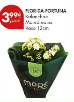 Pingo Doce Flor-da-fortuna kalanchoe promoção