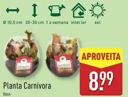 ALDI Planta Carnívora promoção