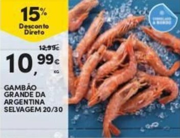Continente Gambão Grande da Argentina Selvagem 20/30 promoção