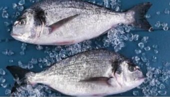 Continente Dourada Média 200-600g promoção