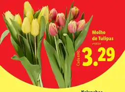 Lidl Molho de Tulipas promoção