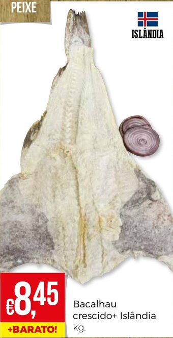 Bacalhau crescido + Islândia
