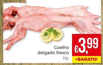 Bolama Coelho Delgado Fresco promoção