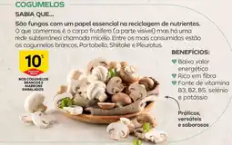 Continente Nos cogumelos brancos e marrons embalados promoção