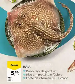 Continente Raia promoção