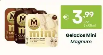 Roque Supermercados Gelados Mini Magnum promoção