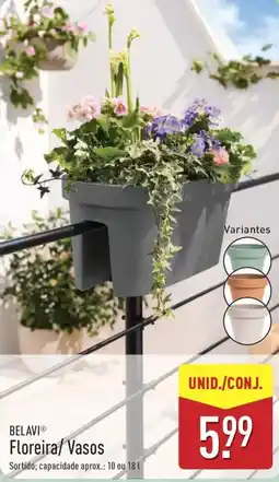 ALDI BELAVI Floreira/ Vasos promoção
