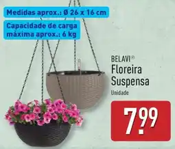 ALDI BELAVI Floreira Suspensa promoção