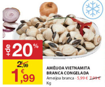 Amêijoa Vietnamita Branca Congelada