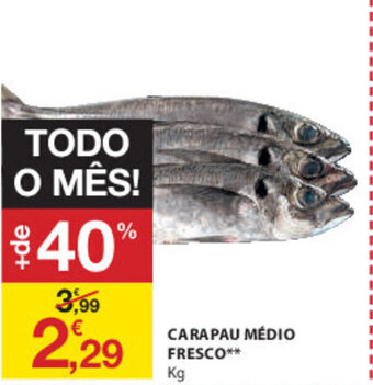 E.Leclerc Carapau Médio Fresco promoção