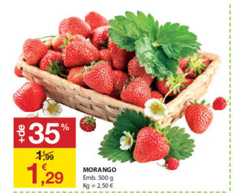E.Leclerc Morango 500g promoção