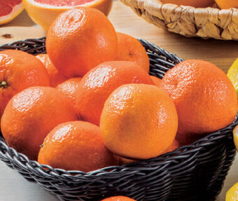 Laranja do Algarve