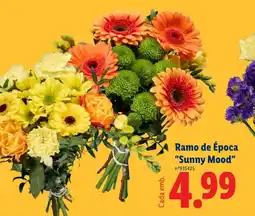 Lidl Ramo de Época "Sunny Mood" promoção