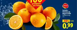 Lidl Laranja - Citrinos do Algarve IGP promoção