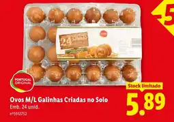 Lidl Ovos M/L Galinhas Criadas no Solo promoção