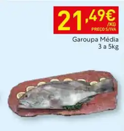 Recheio Garoupa Média promoção