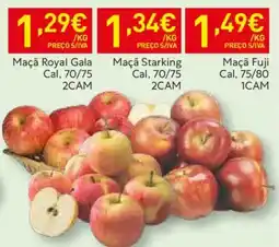 Recheio Maçã Fuji Cal, 75/80 1CAM promoção