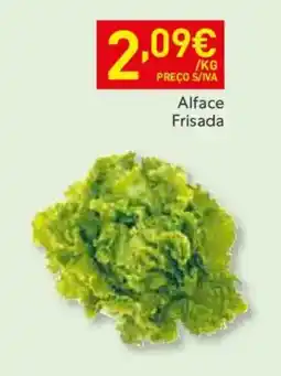 Recheio Alface Frisada promoção
