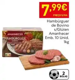 Recheio Hambúrguer de Bovino s/Glúten Amanhecer promoção