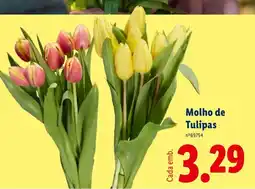 Lidl Molho de Tulipas promoção