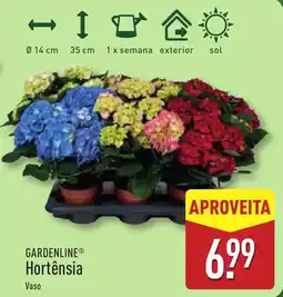 ALDI GARDENLINE Hortênsia promoção